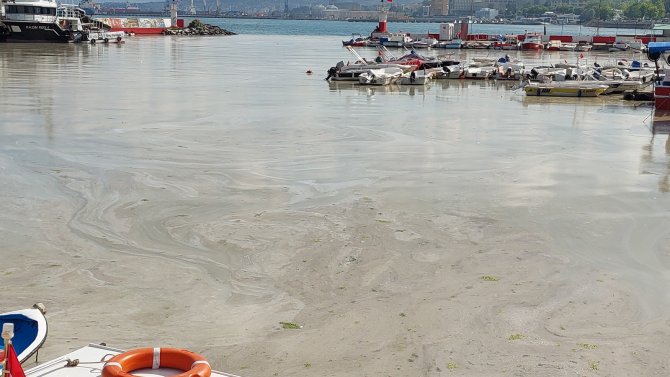 Kabus Hızla Yayılıyor: Sahilin Tamamını Kapladı