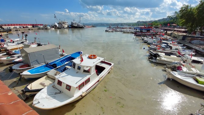 Kabus Hızla Yayılıyor: Sahilin Tamamını Kapladı