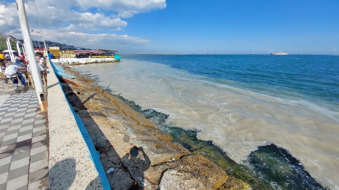 Kabus Hızla Yayılıyor: Sahilin Tamamını Kapladı