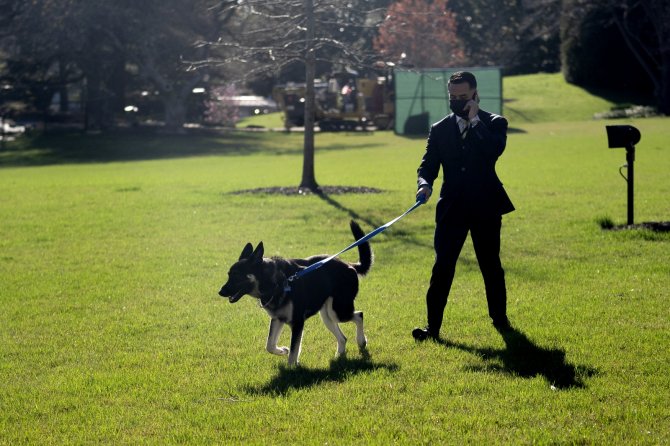 Biden Ve First Lady Jill Biden’ın Köpeği Champ Öldü