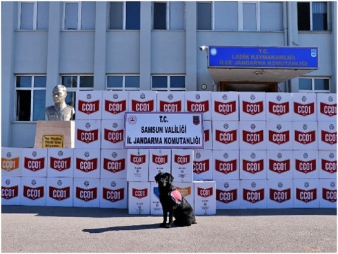 Samsun’da Kaçak Makaron Operasyonu: 33 Gözaltı