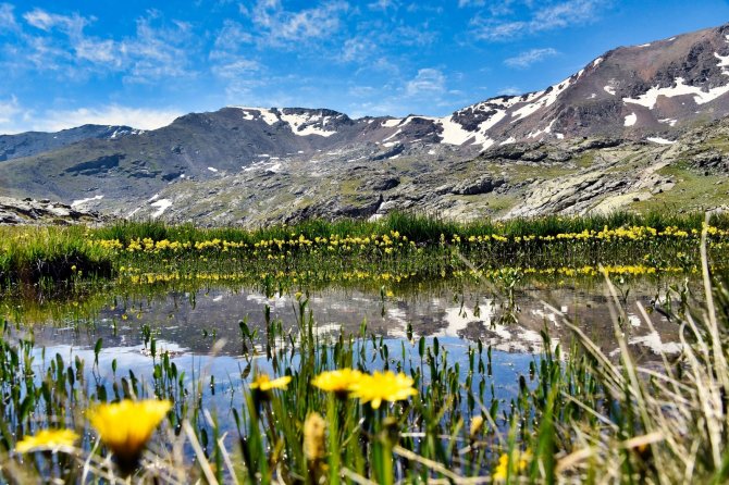 Gümüşhane’deki Artabel Gölleri Tabiat Parkı Ziyaretçilerine Muhteşem Manzaralar Sunuyor