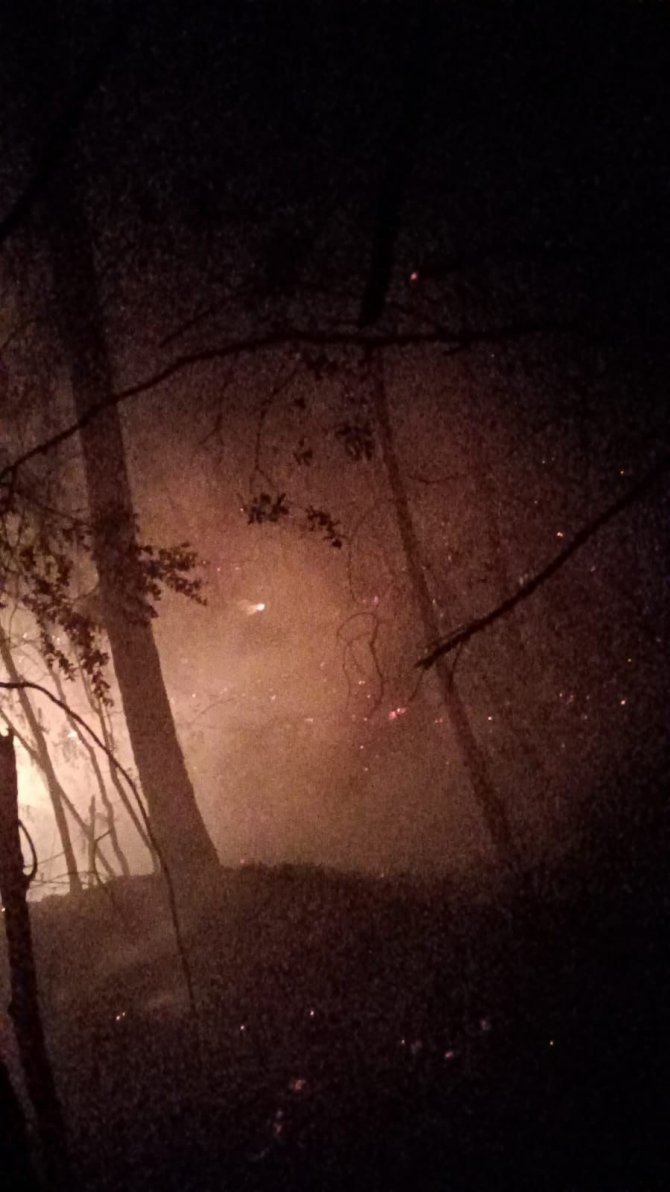 Adana’da Orman Yangını