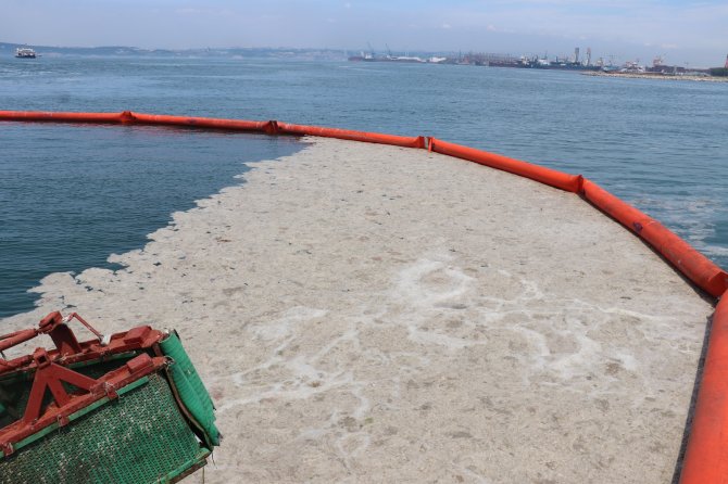 Yalova’da 40 Metreküp Müsilaj Toplandı