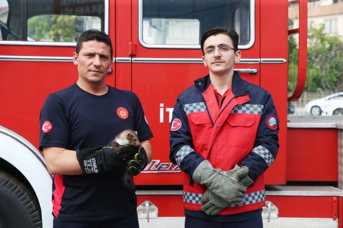 Davetsiz Misafir Artık Ait Olduğu Yerde