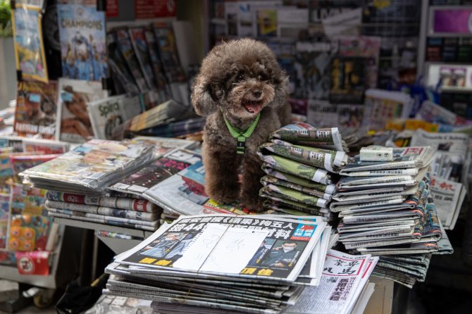 Hong Kong’da Muhalif Apple Daily Gazetesi Cumartesiye Kadar Kapatılacak