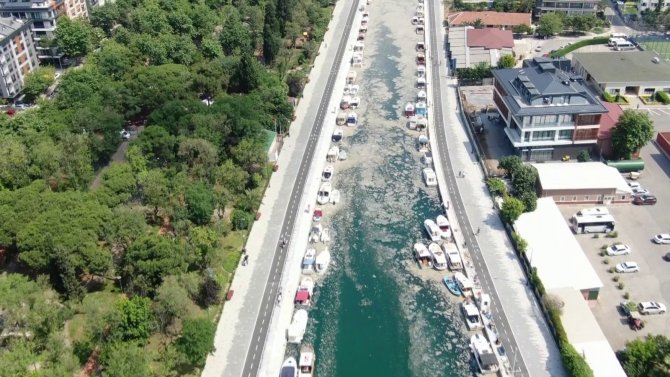 Kurbağalıdere De Deniz Salyası İle Kaplandı