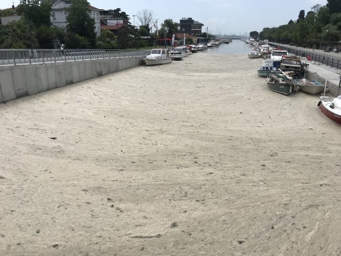 Kurbağalıdere De Deniz Salyası İle Kaplandı