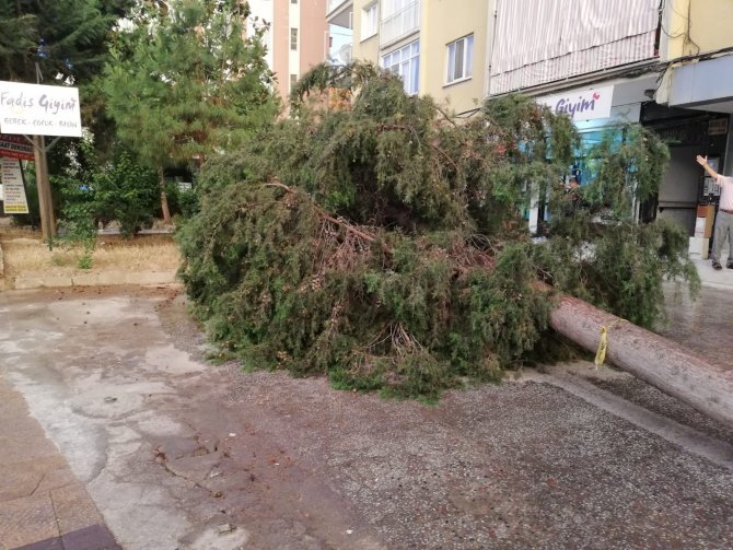 Semih Can Yılmaz - Eren Elyesa Polat Deni̇zli̇ (İ̇ha) -