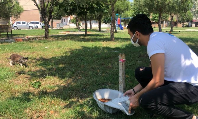 Hurda Armatürler, Hayvanlar İçin Hayatı Aydınlatıyor