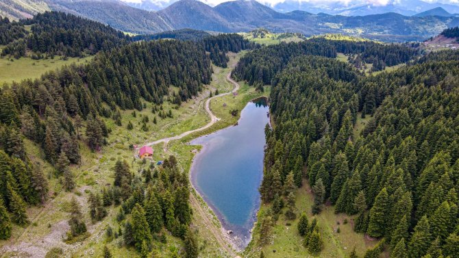 Havadan Balığı Andıran Görüntüsü İle İlgi Çekiyor
