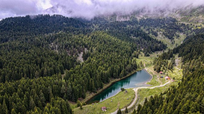 Havadan Balığı Andıran Görüntüsü İle İlgi Çekiyor