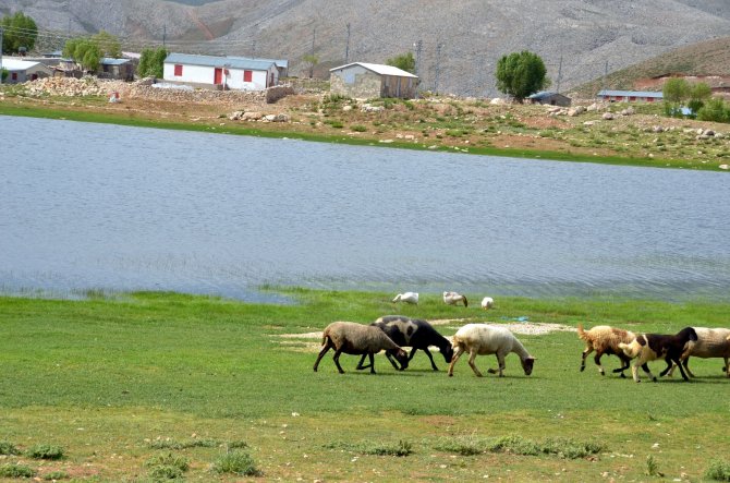 Dipsizgöl Ve Eğrigöl Yapılaşma Tehdidi Altında