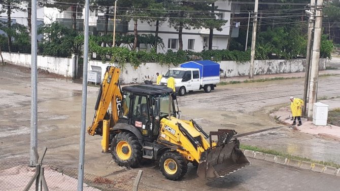 Anne Tavuk Sel Sularında Ölen Yavrusunun Başından Ayrılmadı