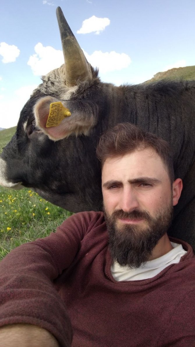 Boğası Ve Koyunu İle Kurduğu İletişim Dikkat Çekiyor