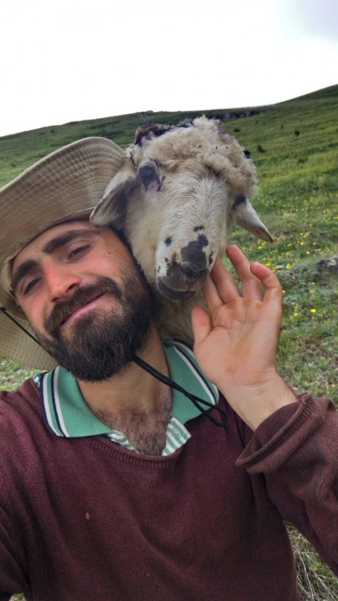 Boğası Ve Koyunu İle Kurduğu İletişim Dikkat Çekiyor