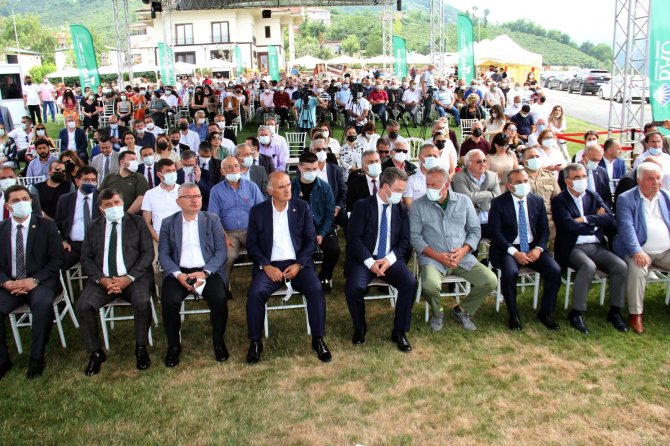 Fao Yöresel Çalıştayı’nda Ünlü Şefler Yeteneklerini Sergiledi