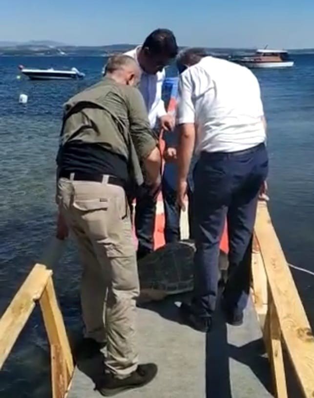 Sahile Vuran Yaralı Caretta Caretta Tedavi Altına Alındı