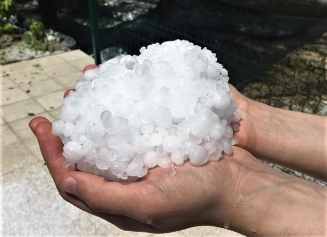 Ceviz Büyüklüğünde Dolu Yağdı, Mahsuller Zarar Gördü