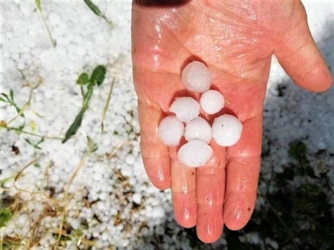Ceviz Büyüklüğünde Dolu Yağdı, Mahsuller Zarar Gördü