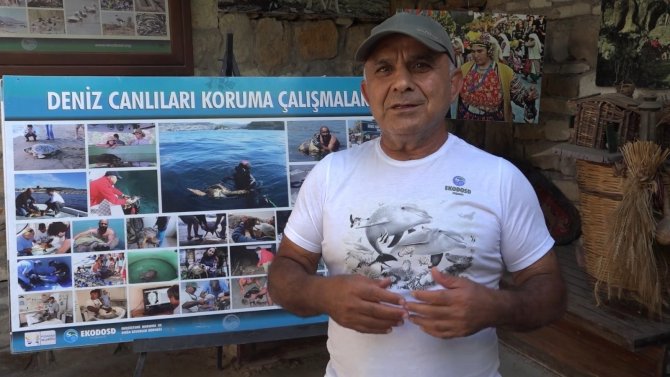 Büyük Menderes’te Toplu Balık Ölümleri Tedirgin Ediyor