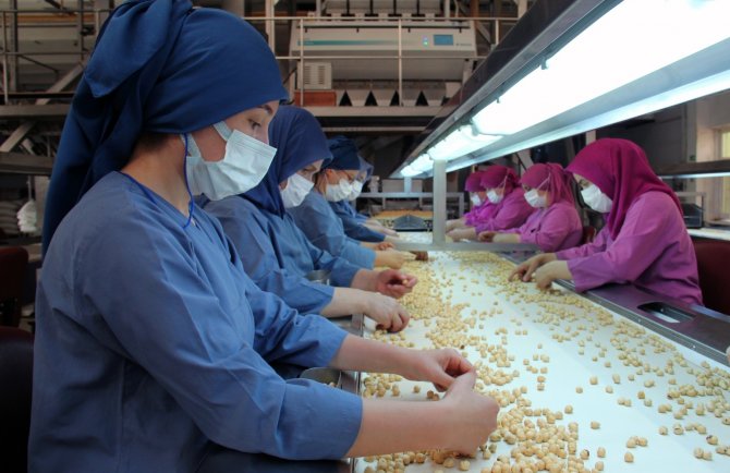 Fındığın Giresun’dan Dünyaya İhracatında Kadınlar Önemli Rol Oynuyor
