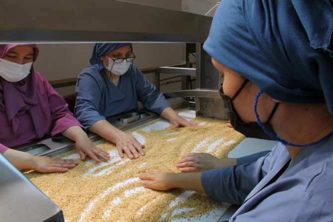 Fındığın Giresun’dan Dünyaya İhracatında Kadınlar Önemli Rol Oynuyor