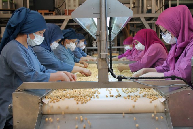 Fındığın Giresun’dan Dünyaya İhracatında Kadınlar Önemli Rol Oynuyor