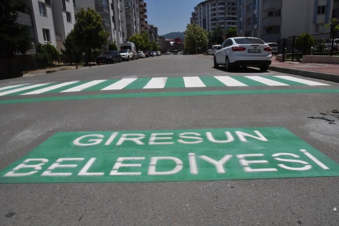 Giresun’da Yaya Çizgileri Yeşil Beyaza Boyanıyor