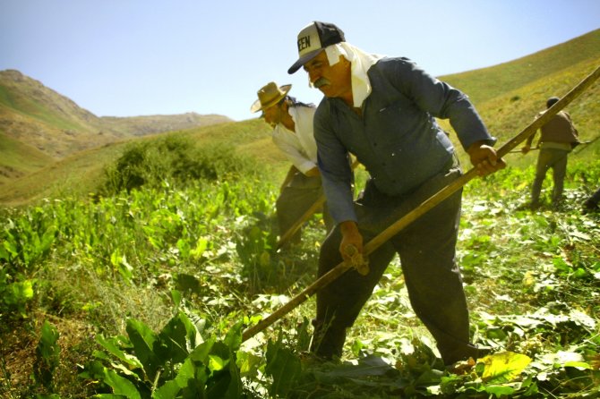 Yüksekovalı Öğretmen Köylerin Güzelliğini Fotoğrafladı