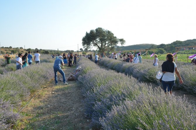 Didim Belediyesi’nin Lavanta Bahçesi Doğal Stüdyoya Dönüştü