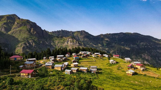 Artvin’in Yaylalarında Hayat Hem Zor Hem Keyifli