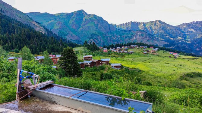 Artvin’in Yaylalarında Hayat Hem Zor Hem Keyifli