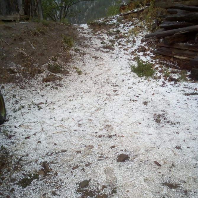 Artvin’de Dolu Yağışı Etkili Oldu