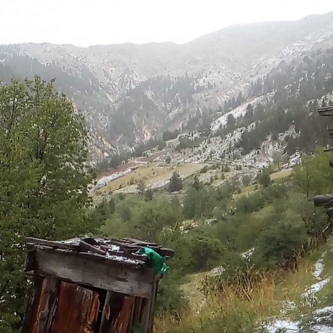 Artvin’de Dolu Yağışı Etkili Oldu