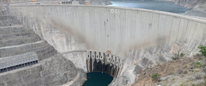 Artvin’de Baraj Setine Tırmanan Keçiler, Görenleri Şaşkına Çeviriyor