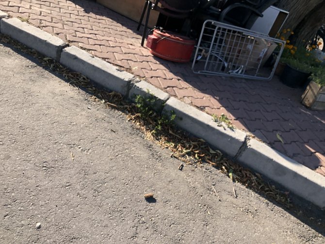 İ̇ş Bulamadığı İçin Evinden Çıkarılan Adam Oğluyla Birlikte Parkta Kalıyor