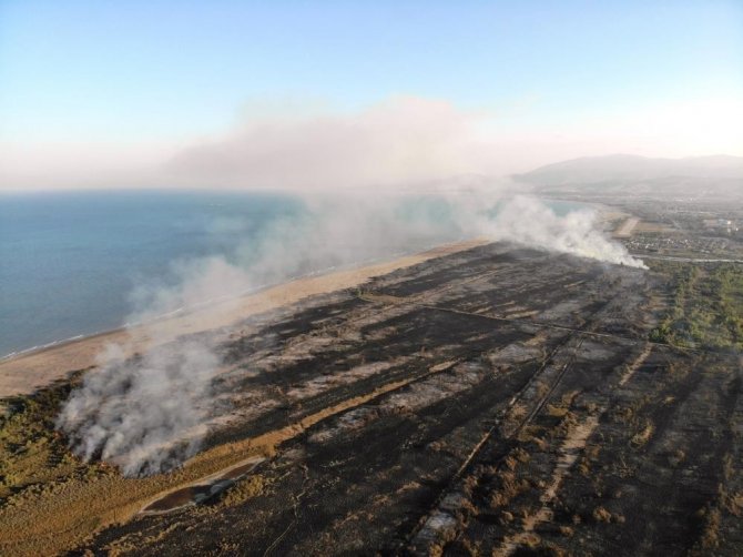 Samsun Ormanlarında Çıkan 22 Yangında 21,28 Ha Örtü Zarar Gördü