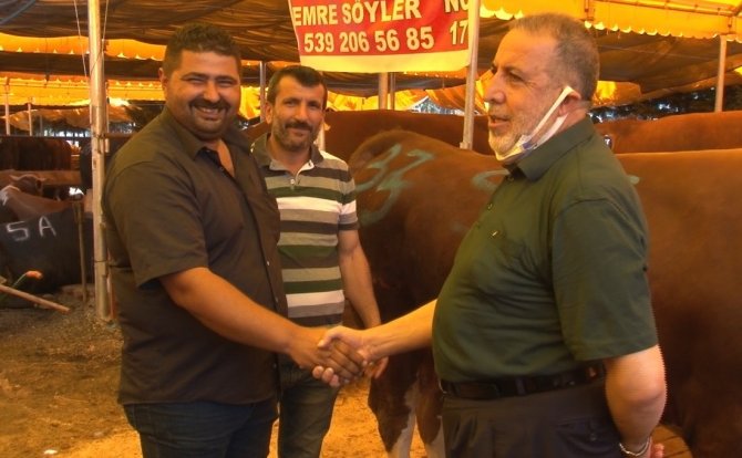 Aşılanma Hızlandı, Kurban Pazarlarında Tokalaşma Geri Geldi