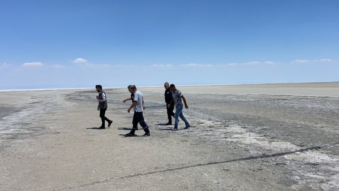 Tuz Gölü’ndeki Ölü Flamingolar İncelemeye Alındı