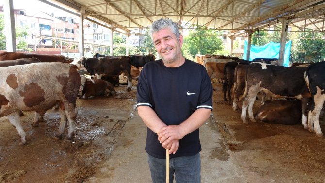 Besiciler Uyardı: “Kurbanlık Hayvanlar Tükenmek Üzere"