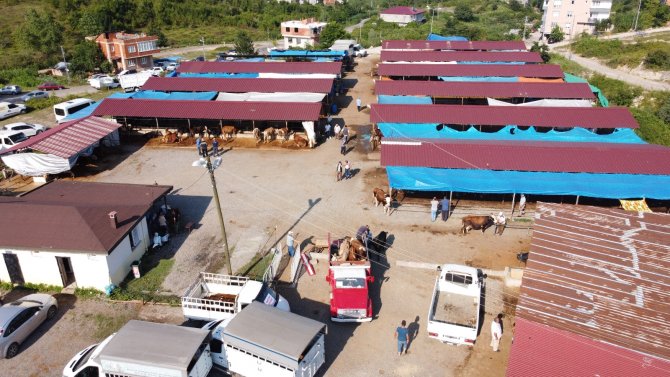 İ̇kiz Boğalar Pazarın Gözdesi Oldu