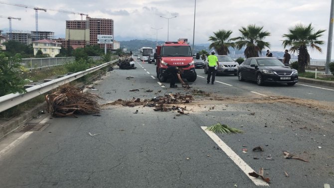 Rize’de Trafik Kazası: 1 Yaralı