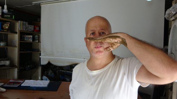 Arhavi’de Sular Çekilmeye Başlayınca Bilançonun Büyüklüğü Ortaya Çıkmaya Başladı