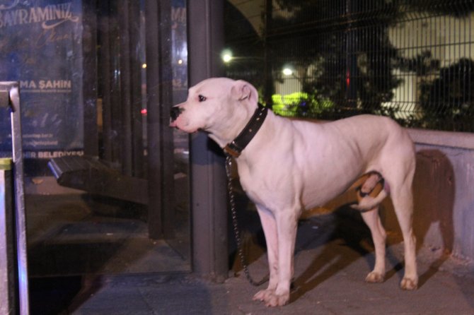Gaziantep’te Sokak Ortasında Kanlı İnfaz: 1 Ölü