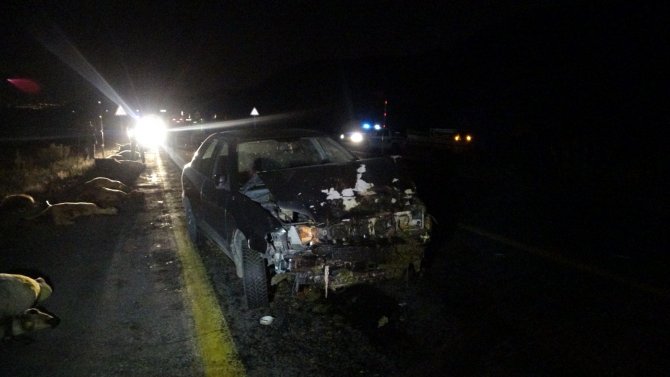 Kayseri’de Sürüye Dalan Otomobilin Sürücüsü Yaralandı, 13 Koyun Telef Oldu