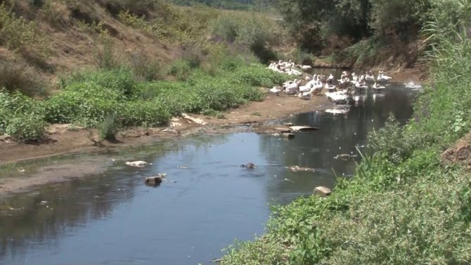 İ̇stanbul’un En Büyük İçme Suyu Kaynağı Olan Alibeyköy Barajına Akan Dere Korkuttu