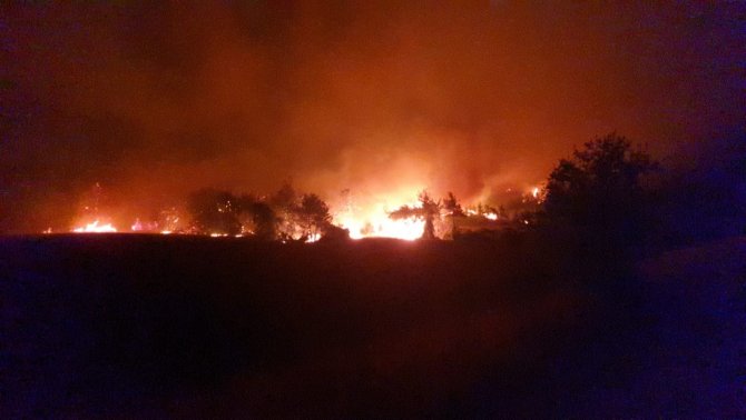 Osmaniye’deki Orman Yangınına Karadan Müdahale Devam Ediyor