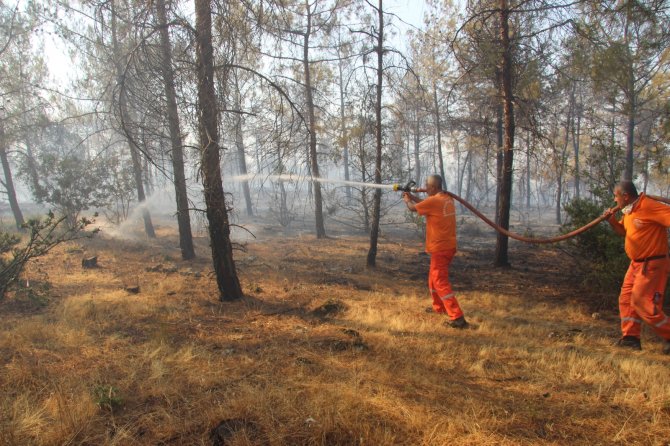 Kilis’te Kontrol Altına Alınan Orman Yangını Yeniden Alevlendi