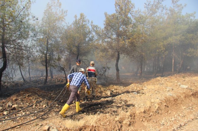 Kilis’te Kontrol Altına Alınan Orman Yangını Yeniden Alevlendi